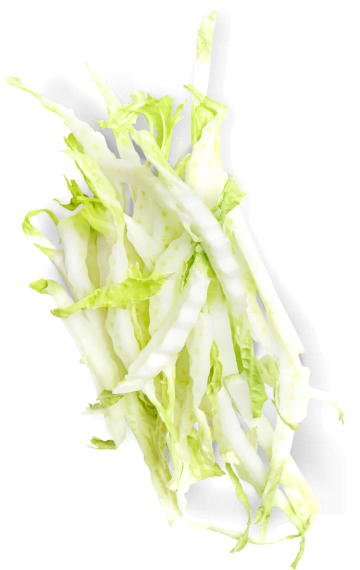 Гастрономъ