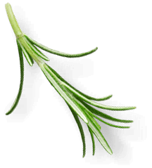 Гастрономъ