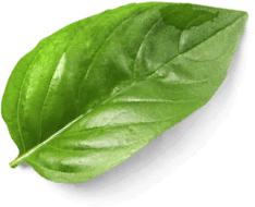 Гастрономъ