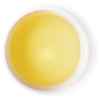 Гастрономъ