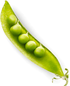 Гастрономъ