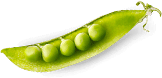 Гастрономъ