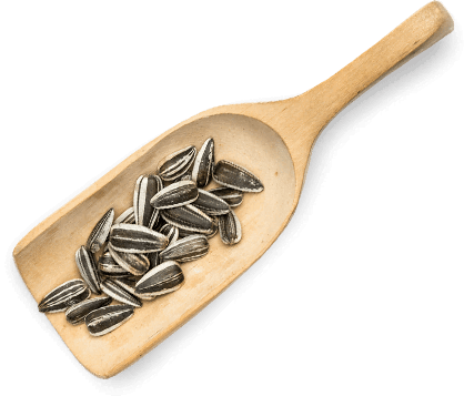 Гастрономъ