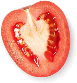 Гастрономъ