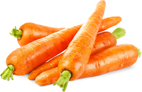 Гастрономъ