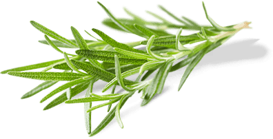 Гастрономъ