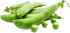 Гастрономъ