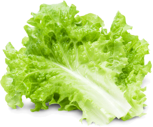 Авеню вкуса