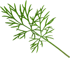 Родная деревенька