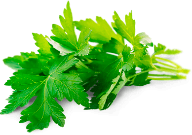 Родная деревенька